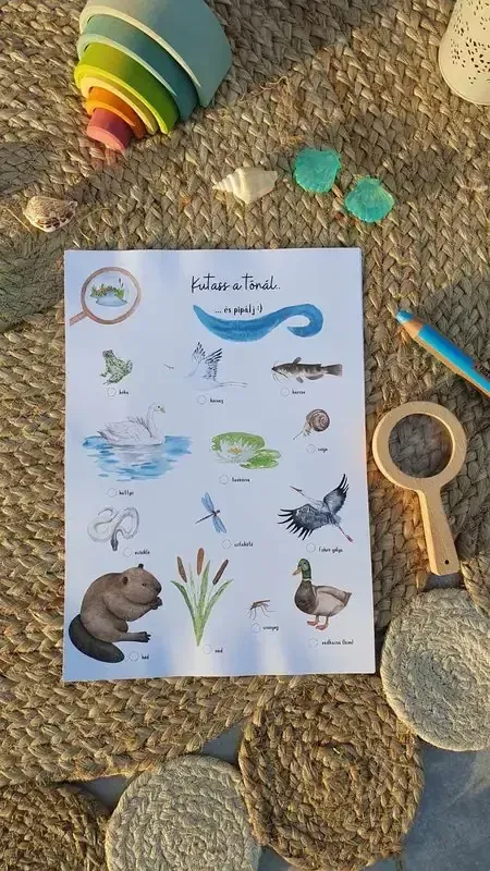 Kutass a tónál kutatólap